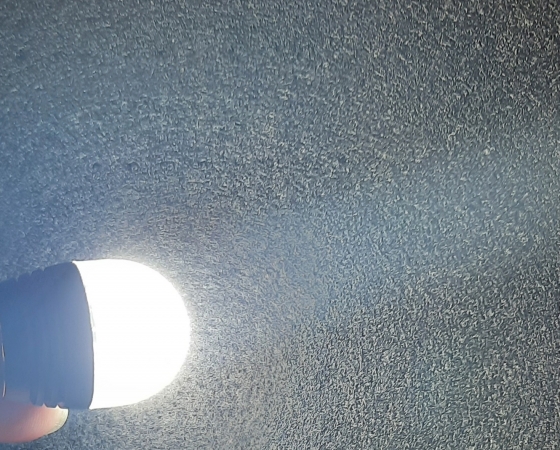 Светодиодная лампа P21W (биполярная)  12-24V, цвет белый